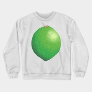 Lime Citrus Fruit Green Pattern Leaf Crewneck Sweatshirt